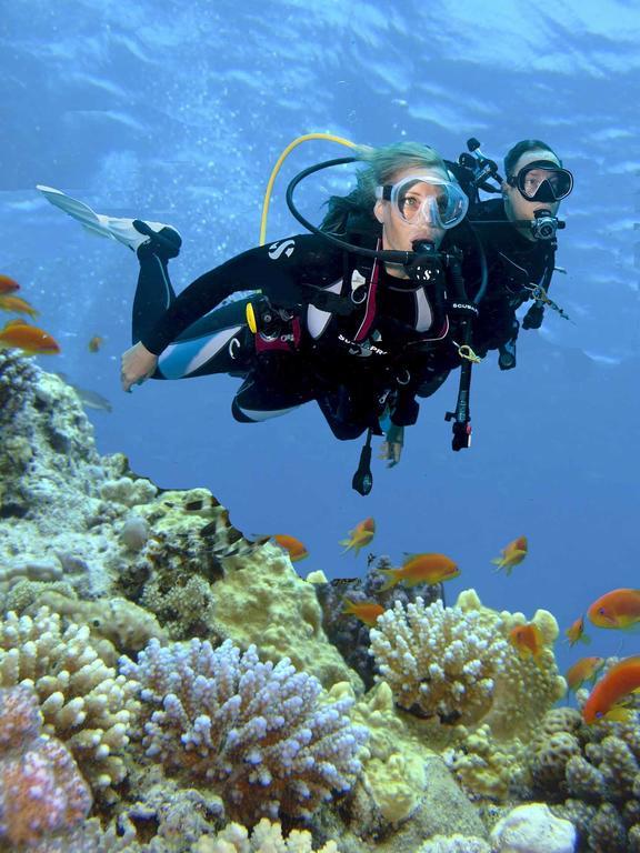 Hébergement - Cours de Plongée en Eaux Libres PADI