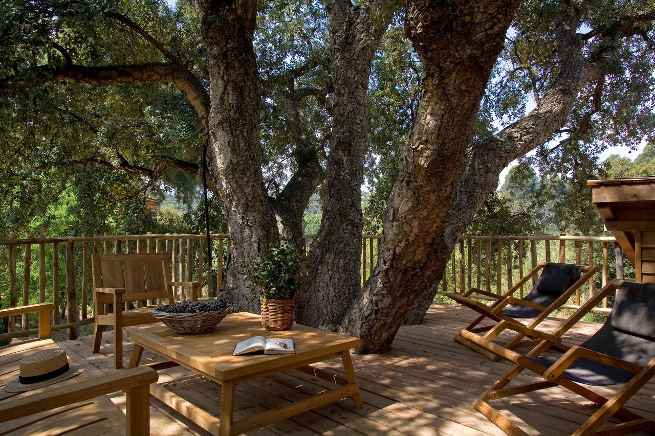 Cabane Familiale dans l’Arbre (2 Adultes + 2 Enfants) - Accès Gratuit au Spa et à la Plage Privée
