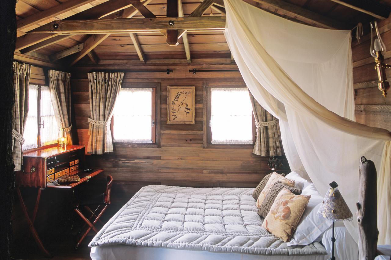 Cabane dans l’Arbre - Accès Gratuit au Spa et à la Plage Privée