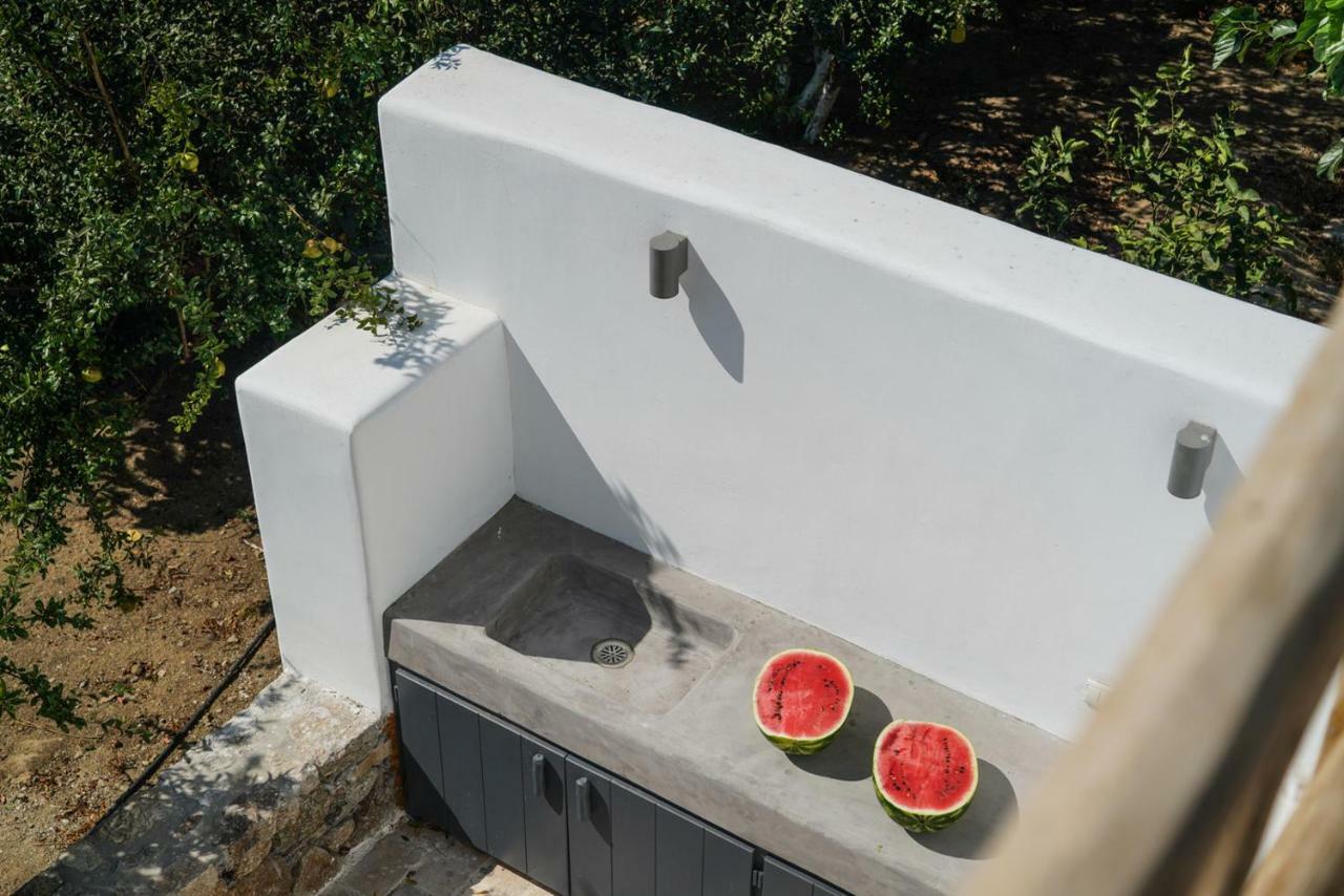 Appartement Junior avec Petite Piscine (Kalafatis)