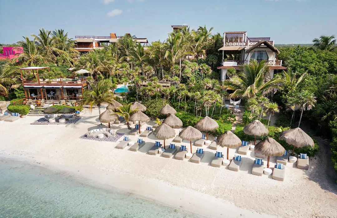 Jashita Hotel (Adults Only)-1