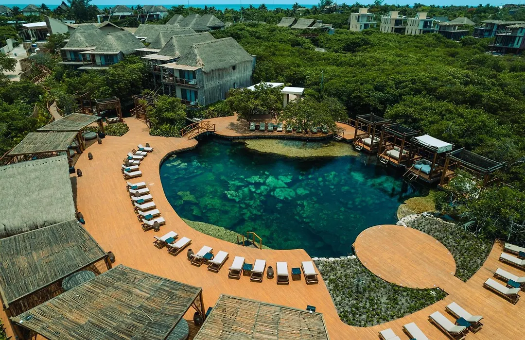 Hotel Shibari - Restaurant & Cenote Club-1