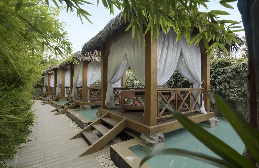 Trendy Verbena Beach-1