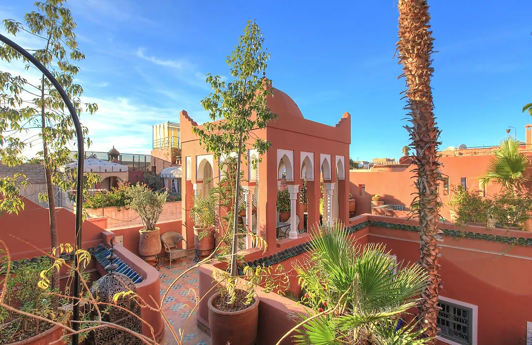 Riad Kaiss By Anika-1