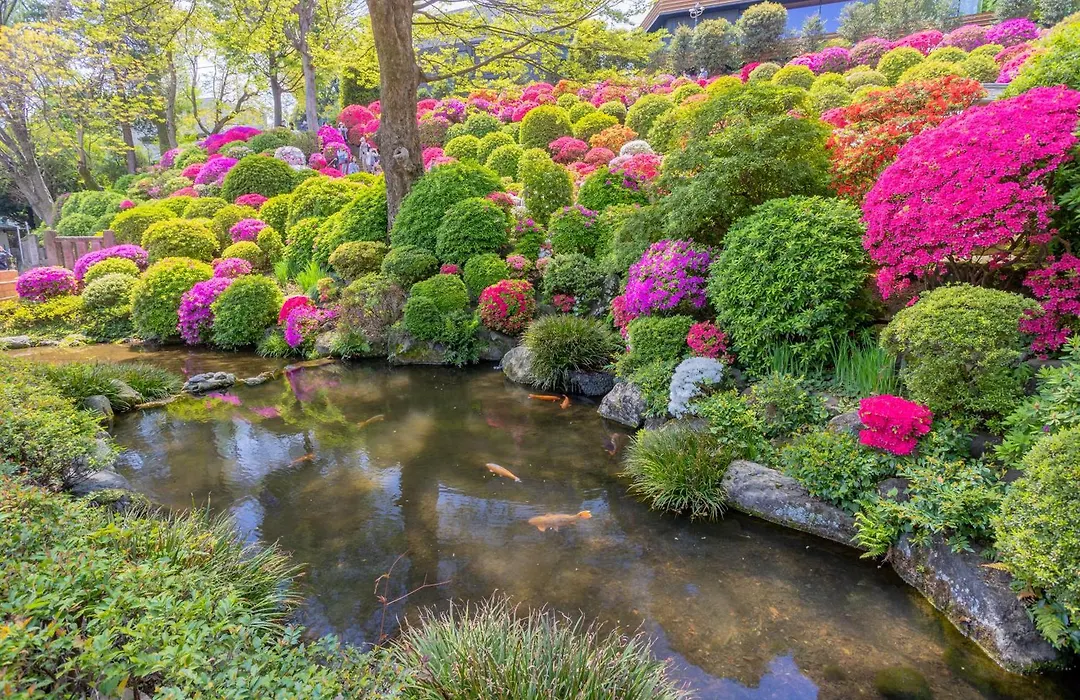 The Westin Tokyo-1