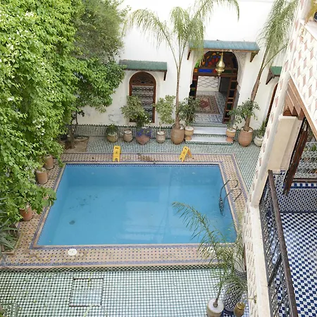 Riad El Yacout-3