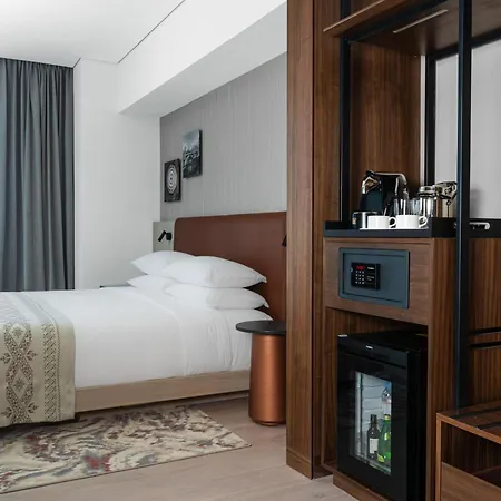 Hyatt Regency Mexico City Insurgentes Wtc-2