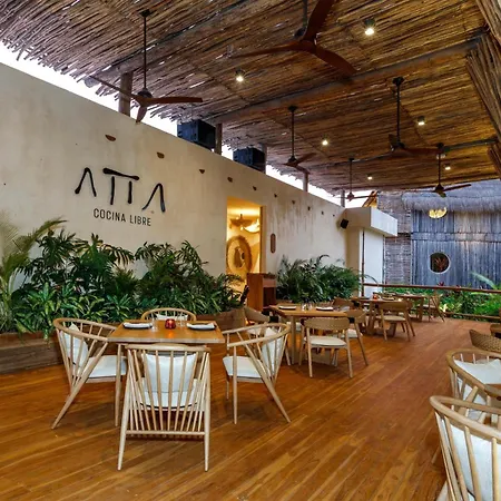 Hotel Shibari - Restaurant & Cenote Club-2