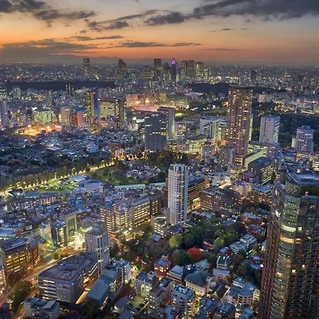 The Ritz-Carlton, Tokyo-3