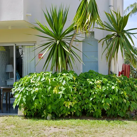 C Mauritius (Adults Only)-3