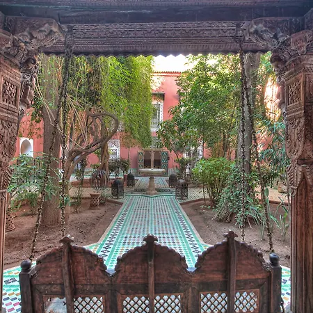 Riad Kaiss By Anika-2