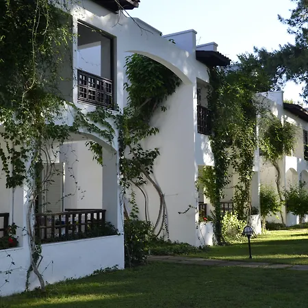 Emelda Sun Club-3
