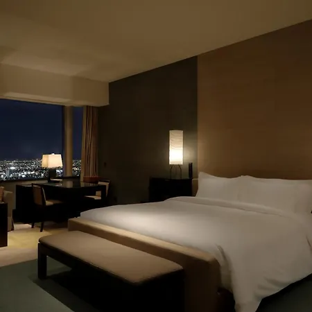 Park Hyatt Tokyo-3