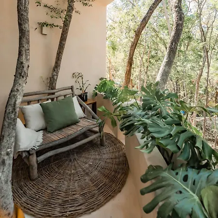 Taio Tulum-2