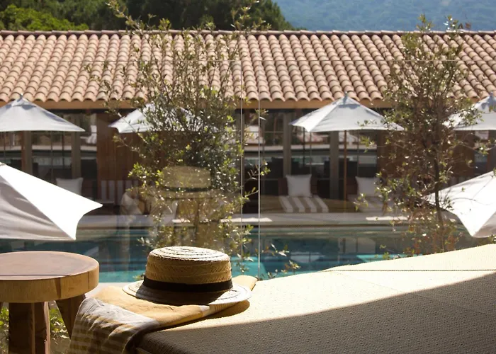 Lily Of The Valley La Croix-Valmer