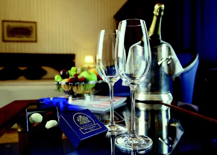 Hotel Ambassador Vienne